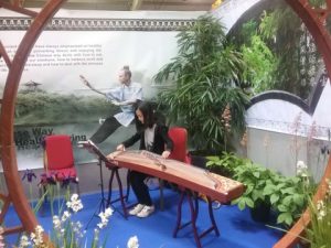 Chinese Arts and Culture Classes