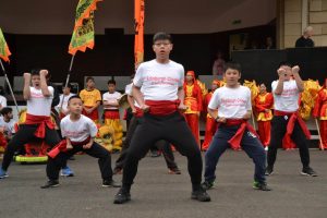 Carnival Festival Parade 2016 1