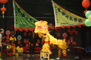 Spring Festival 2016 6